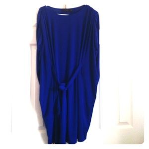 The Limited Blue Shift Dress