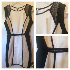 New Black and White Dress