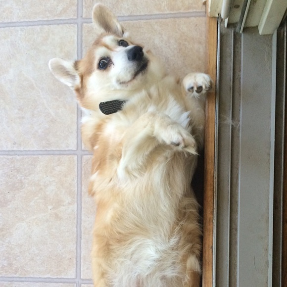 Bundle for @clompity