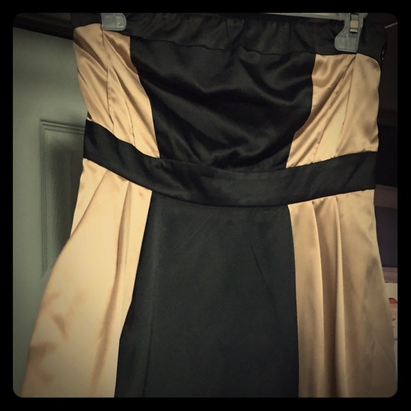 Limited Champagne and Black Dress - Picture 1 of 4