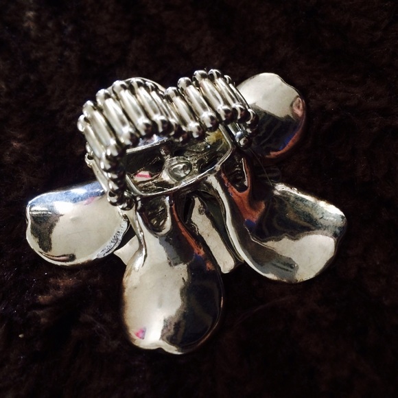 Zebra ring - Picture 2 of 2