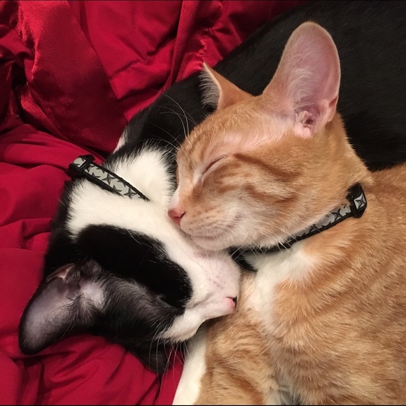 GlitteralyNYC Seller- About - Picture 2 of 3