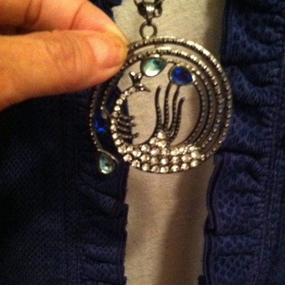 Long Gunmetal Peacock Necklace