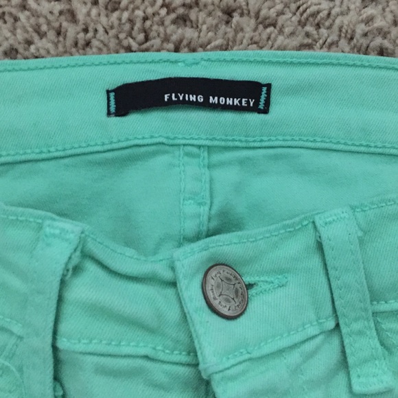 Flying monkey - Picture 2 of 2