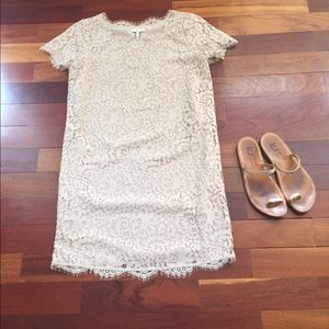 Joie lace dress