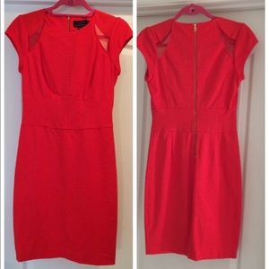 Ted Baker Red Dress ❤️ (never worn)