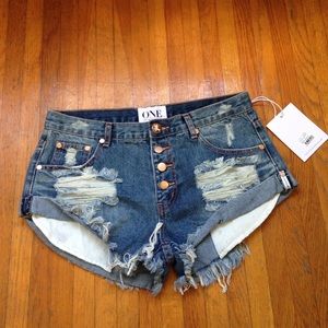 One Teaspoon Brave Bandits