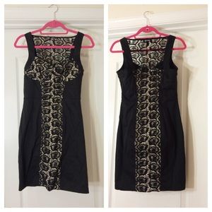 Black and creme lace bebe dress