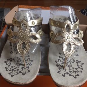 Brand New in Box Cushe footwear