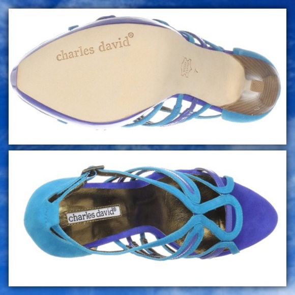 charles david sandals
