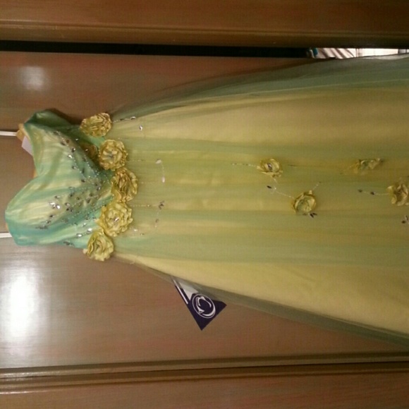 Beautiful ball gown dress from Italy.