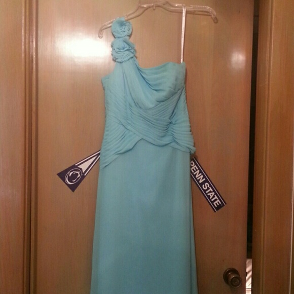 Blue bridesmaid/prom dress.