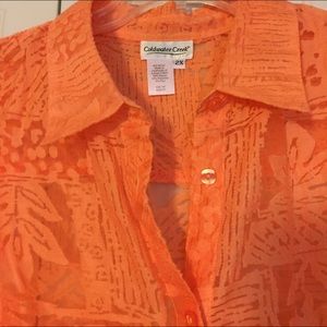 Coldwater Creek Fall Orange burnout blouse 2x