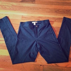 NWOT Riding Pants