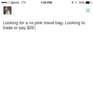 ISO pink travel bag