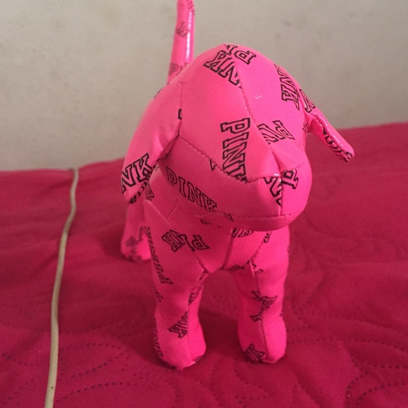 Vs pink dog