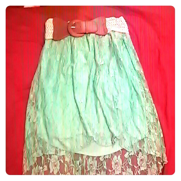 Light Blue Rose Skirt