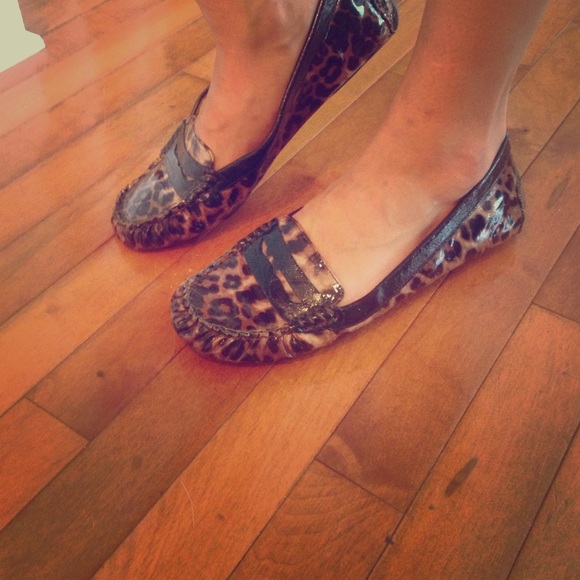Cheetah Flats