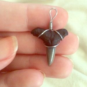 Black Sharks Tooth hand wrapped in Sterling Silver