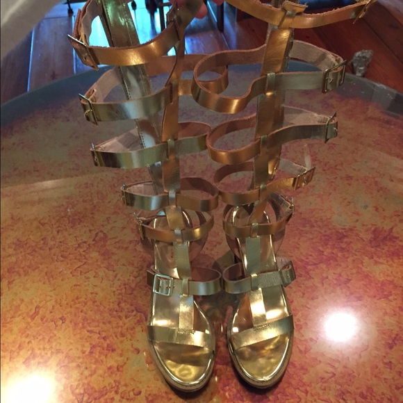 Chinese laundry gold gladiators!