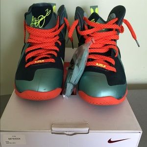 Lebron 9 cannon