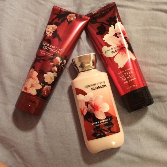 Japanese Cherry Blossom