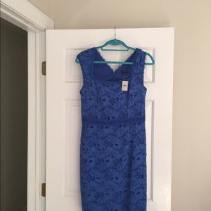 Bundle package ann taylor dresses