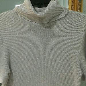 Short sleeved silver sparkle sweater