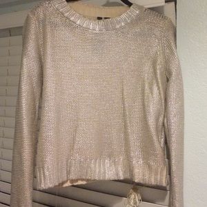 H&M Metallic Cropped Sweater