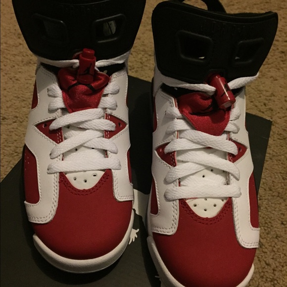 Jordan 6 (Carmines)