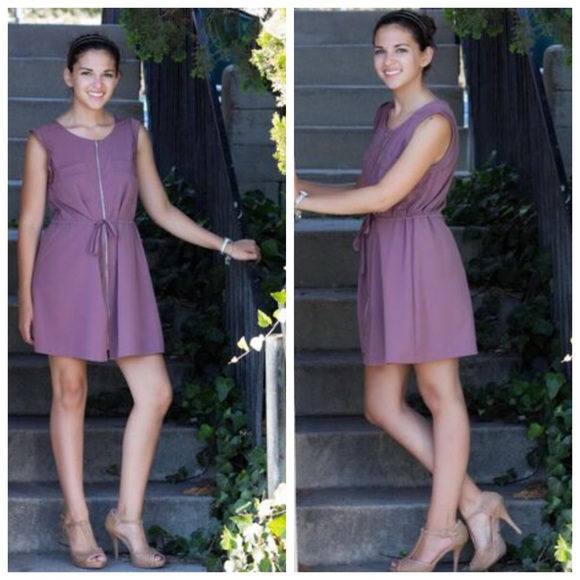 Naked Zebra Mauve Dress
