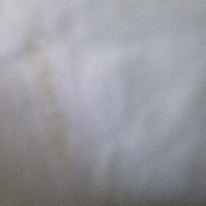 PLEASE READ BEFORE PURCHASE!!!!!