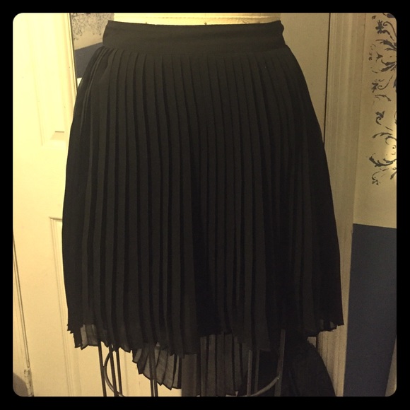 Pleated American Eagle Skirt.