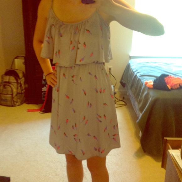 Grey Dress with little birds on it