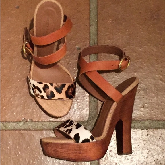 Dolce & Gabbana Shoes - Cheetah Summer Sandal