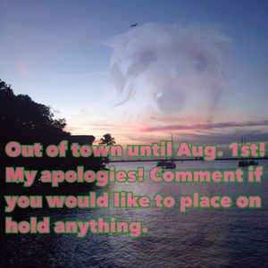 I will be out of town until Aug. 1st