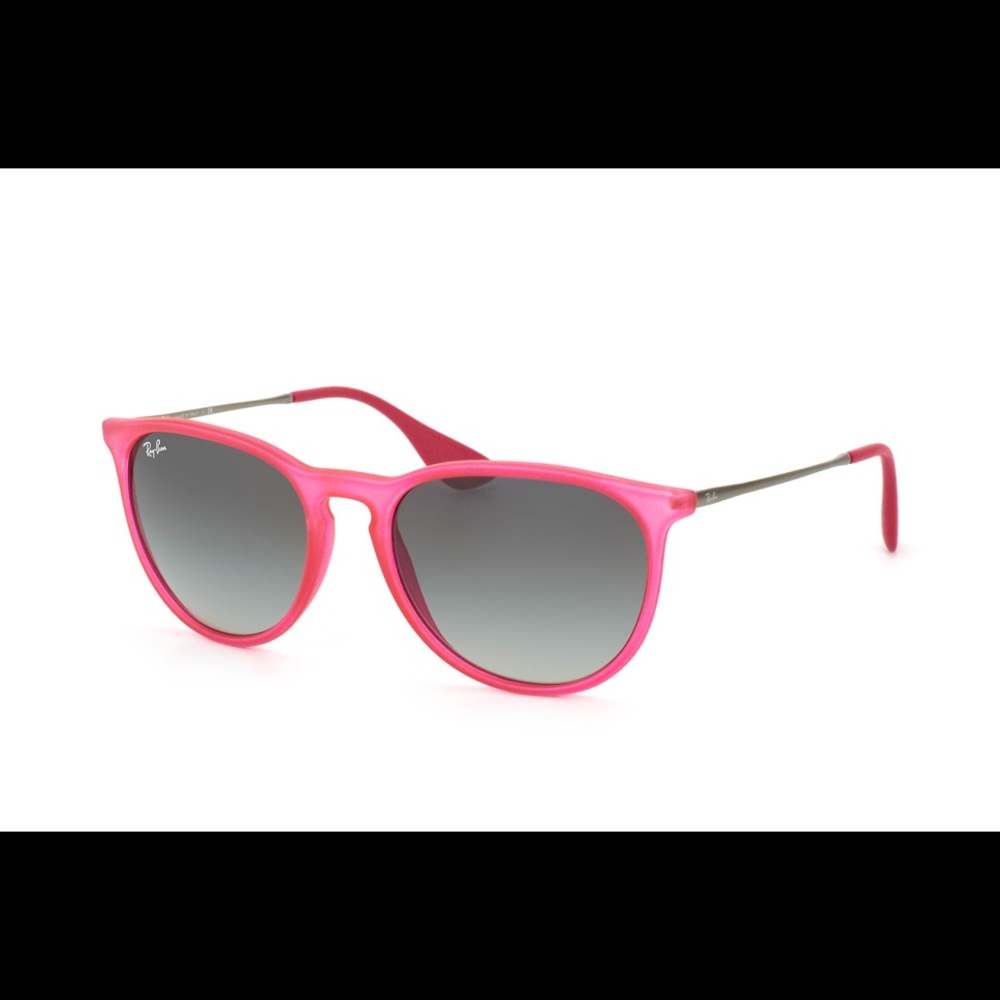 RayBan Erika Sunglasses