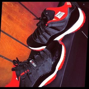 Bred 11 Lows