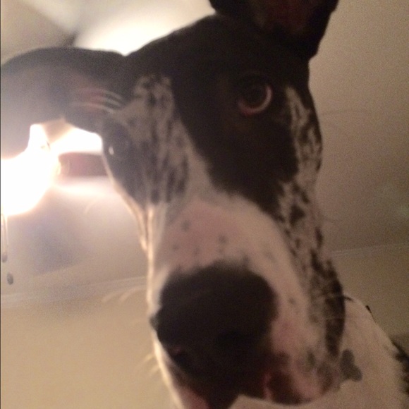 Meet your Posher! - Picture 2 of 3