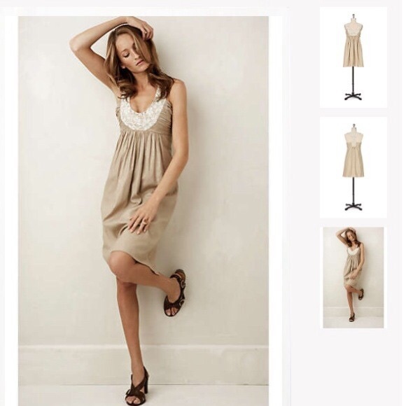 Anthropologie Dresses & Skirts - Anthropologie Sweet Olive Shift Dress