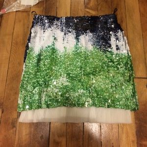 Zara Sequin Skirt