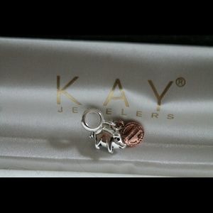 Piggy bank and penney charm!