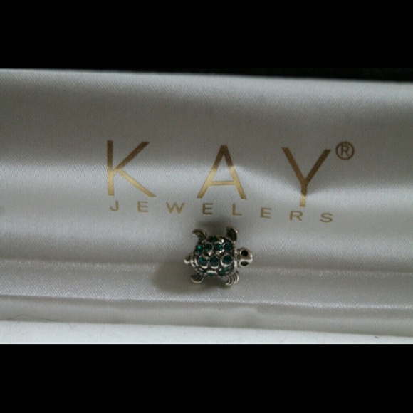 Turtle Pandora bead!