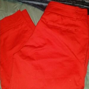 Red capri dress slack