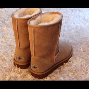 FREE SHIPPING ON ORDERS $50+