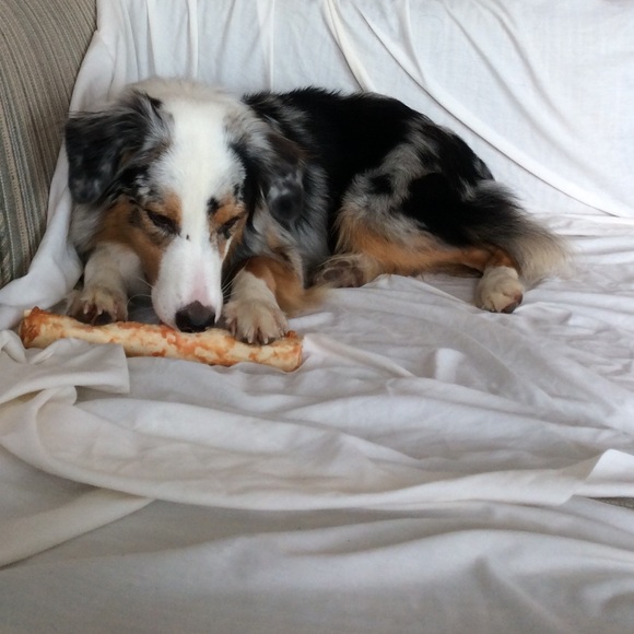 20% off bundles of 2+ items! - Picture 4 of 5