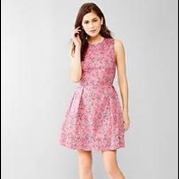 Brand new GAP Floral fit & flair dress