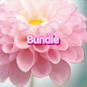 Bundle for @baylovesyou