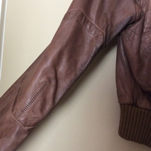 Justcavali cropped leather bomber - Picture 3 of 4