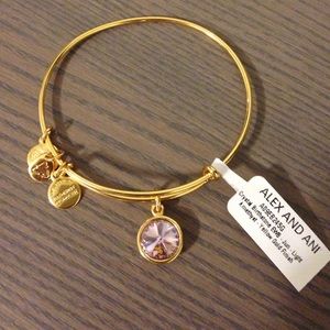NEW Alex and Ani Light Amethyst Bangle